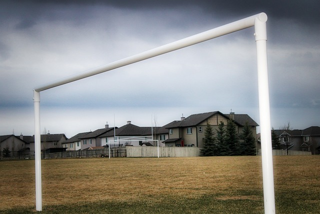 申花旧帅波耶特怒辞全北帅位，兄弟情深还是死性不改？